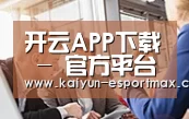组织结构