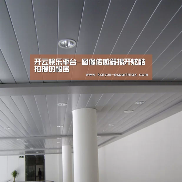 开云娱乐平台-图像传感器揭开炫酷拍摄的秘密(图1) 开云真人平台