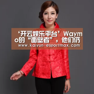 ‘开云娱乐平台’Waymo的“面壁者”,他们仍继续改变着世界(一)丨亿欧观点(图2) 开云APP下载