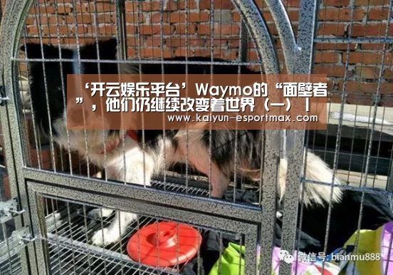 ‘开云娱乐平台’Waymo的“面壁者”,他们仍继续改变着世界(一)丨亿欧观点(图1) 开云娱乐平台